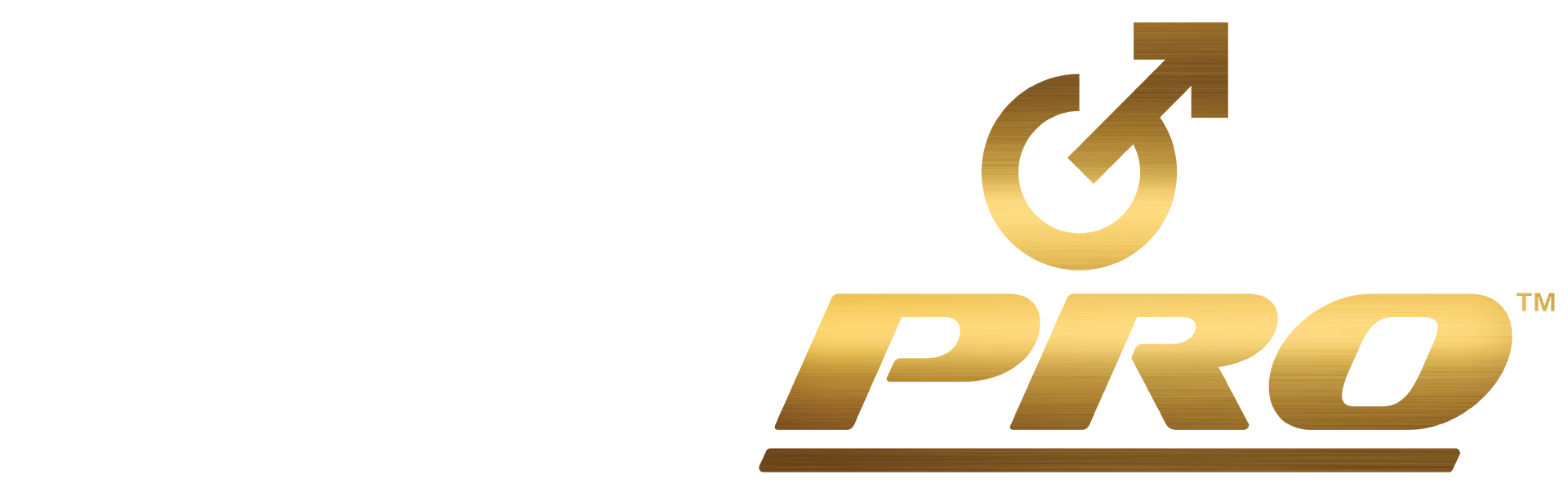 Fleshlight Pro Logo